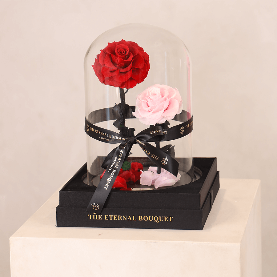 A stunning preserved rose duo from The Eternal Bouquet, showcasing rich red and soft pink roses under a clear dome, nestled on elegant gift packaging. This graceful piece blends luxury and sentiment, making it a thoughtful and lasting way to say ‘I love you’ or celebrate a meaningful milestone.