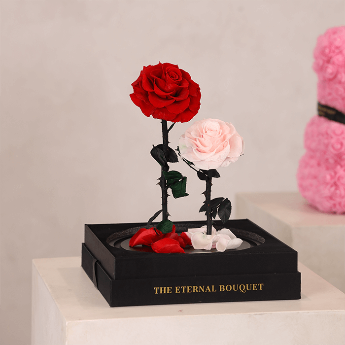 Elegant preserved red and blush pink roses from The Eternal Bouquet, beautifully displayed on a luxe black base with gold branding. A timeless keepsake that speaks volumes—perfect for anniversaries, heartfelt celebrations, or simply saying ‘you’re cherished’ in the most memorable way.