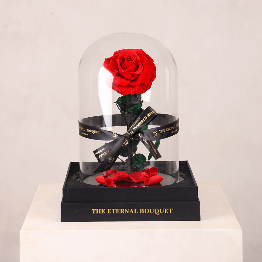 Romantic preserved red rose displayed in a glass dome with a scattered petal design, tied with a luxury black ribbon—ideal for sophisticated floral decor or heartfelt gifting.