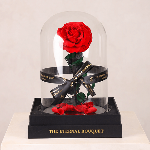 Red Enchanted Rose Dome
