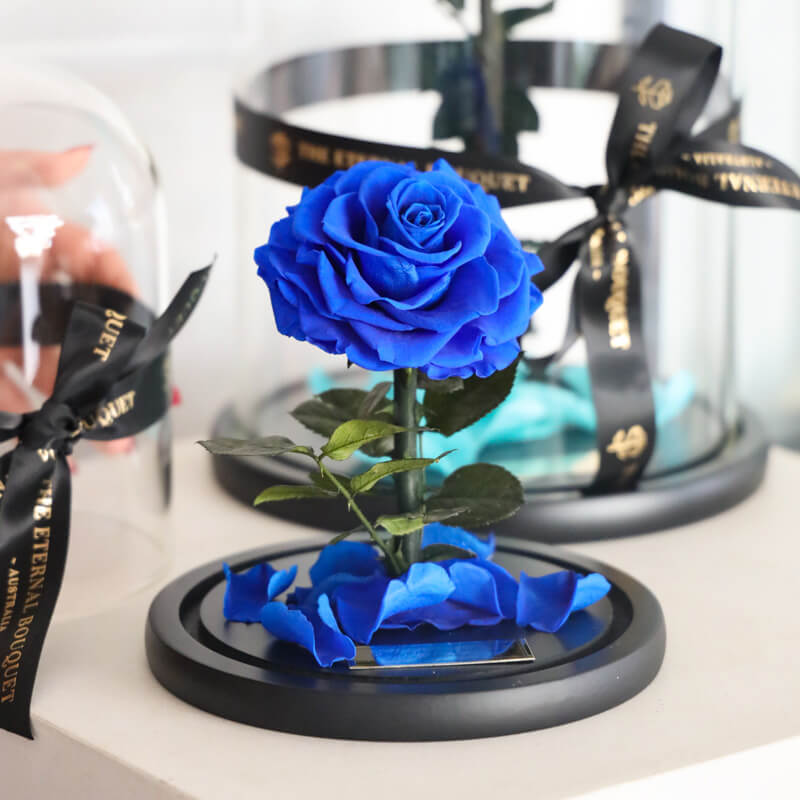 The Enchanted Mini - Royal Blue (PRE-ORDER)