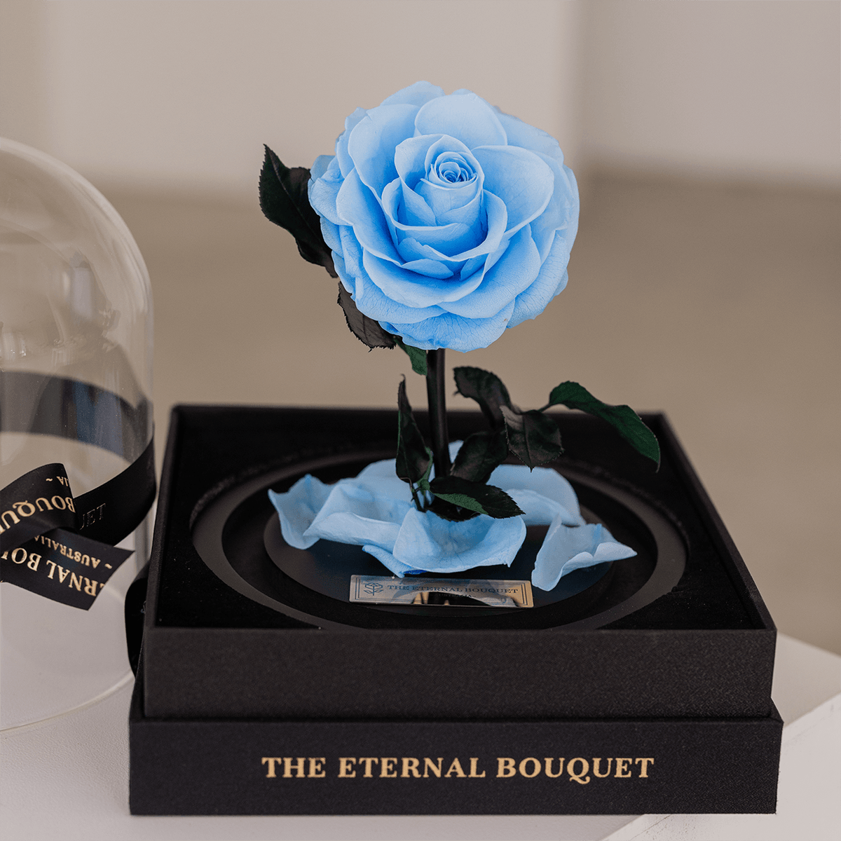 The Enchanted Mini - Baby Blue