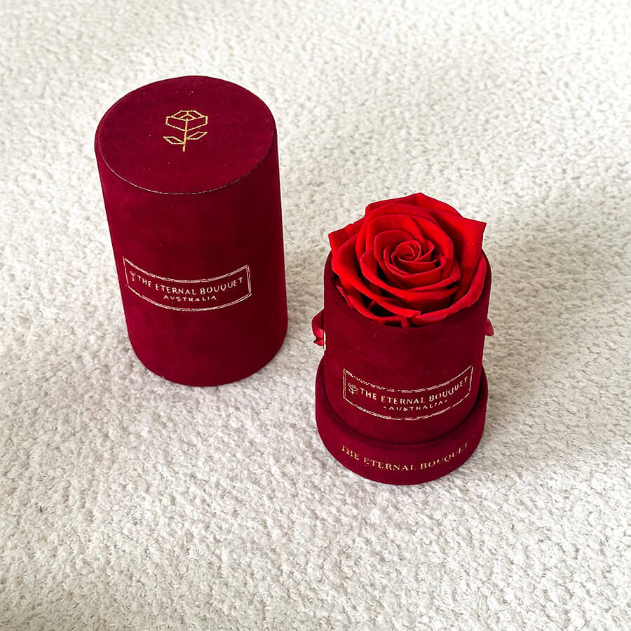 Velvet Petite Everlasting Rose