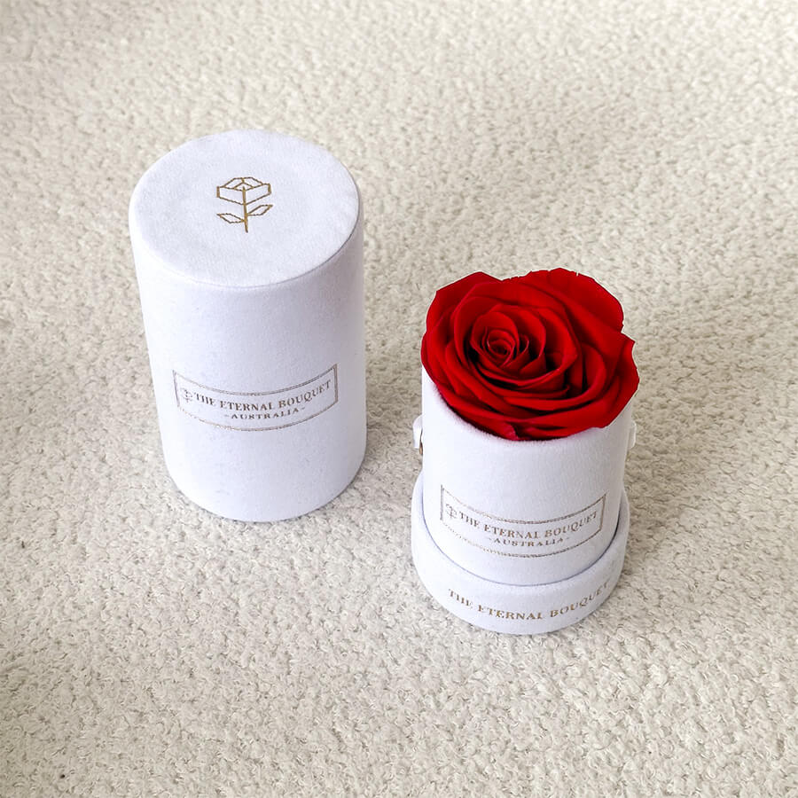 Velvet Petite Everlasting Rose