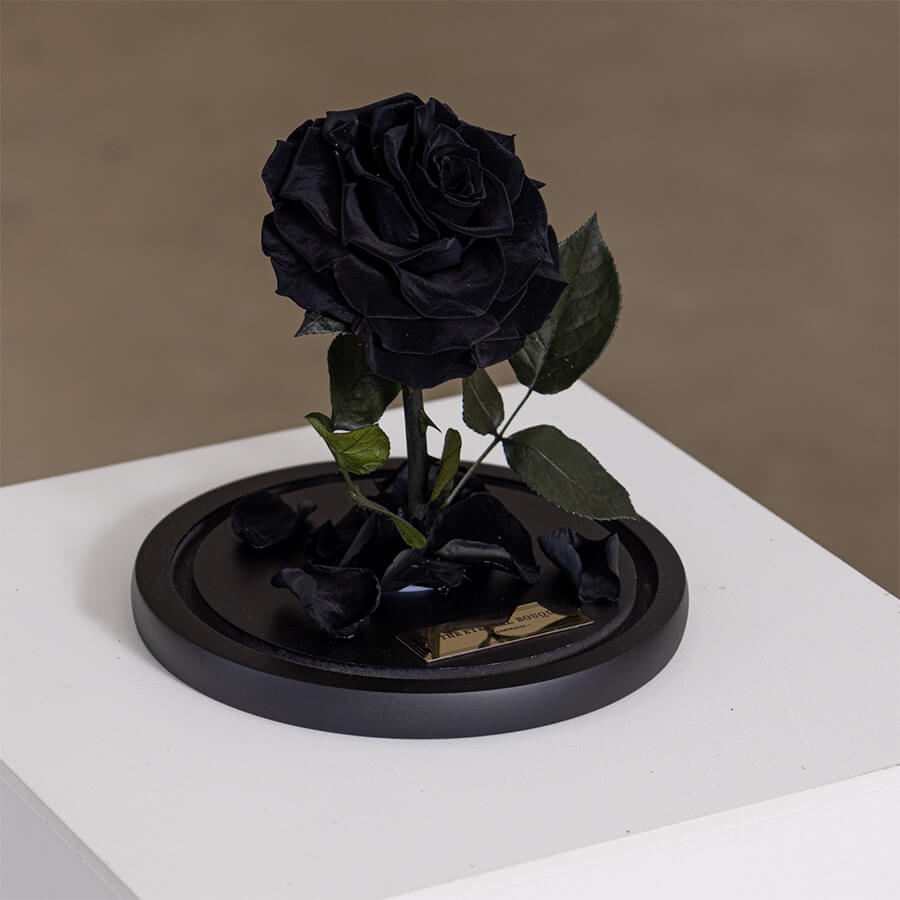A single everlasting black rose elegantly arranged on a matte black base with scattered petals and dark green leaves, showcasing a modern, timeless aesthetic—ideal for gifting on solemn occasions or as a bold, meaningful statement piece."
