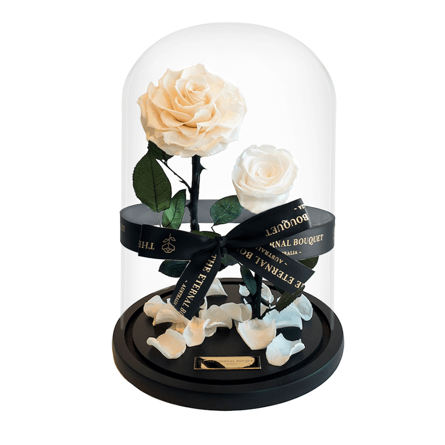 Beige and white everlasting one year rose