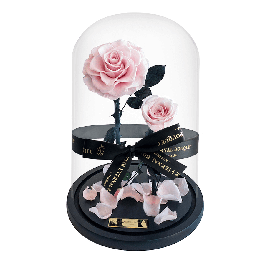 2 Elegant everlasting pink roses, encased in a clear glass dome and tied with a luxurious black ribbon from The Eternal Bouquet. Nestled on a sleek black base with scattered rose petals, this timeless floral display makes a thoughtful and romantic gift that captures everlasting love.