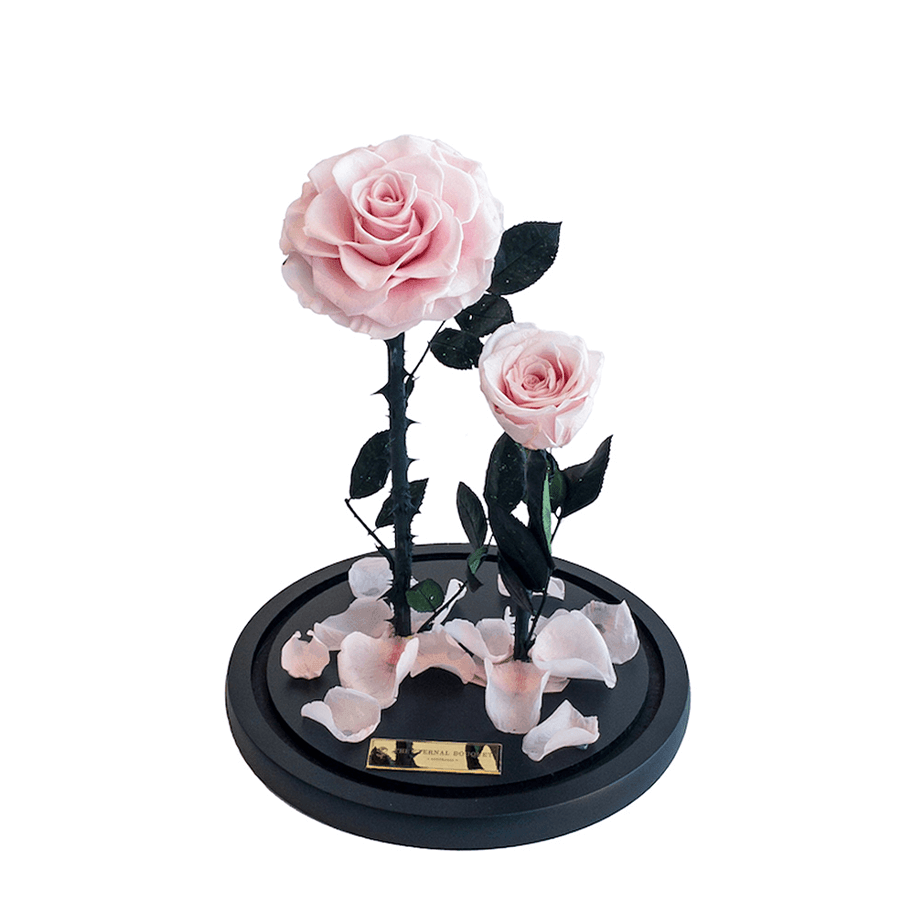 Two everlasting pink roses, elegantly displayed on a black base with scattered petals and a gold plaque, from The Eternal Bouquet. A timeless floral arrangement that symbolizes love and growth, making it the perfect gift for anniversaries, birthdays, or heartfelt celebrations.