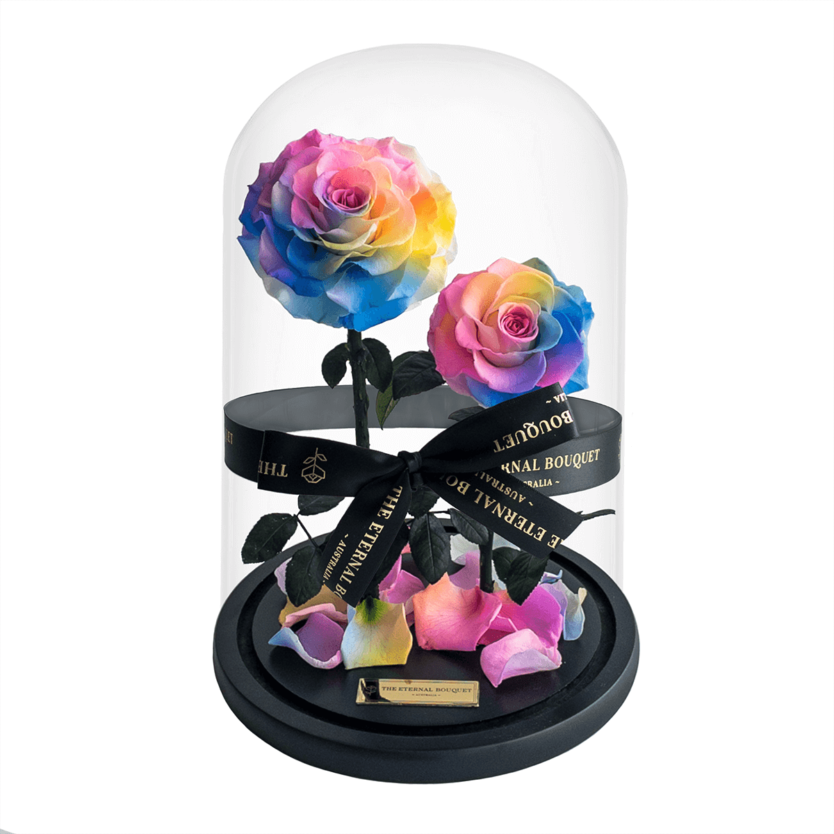 2 Everlasting Rainbow Roses in a glass dome