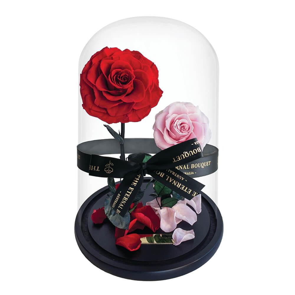 Elegant duo rose display featuring an everlasting red and pink rose, beautifully encased in a glass dome and adorned with The Eternal Bouquet’s signature black ribbon. Resting on a black base with scattered rose petals, this timeless arrangement makes a romantic and meaningful gift for anniversaries, Valentine’s Day, or any special occasion.