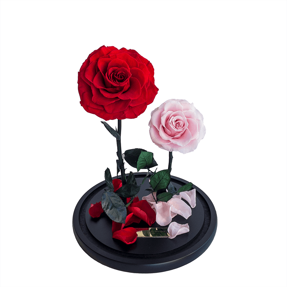 Romantic everlasting duo rose arrangement featuring a bold red rose and a delicate pink rose, displayed on a sleek black base with scattered matching petals. A timeless piece from The Eternal Bouquet, perfect for expressing love, celebrating anniversaries, or gifting someone special with a symbol of everlasting beauty.