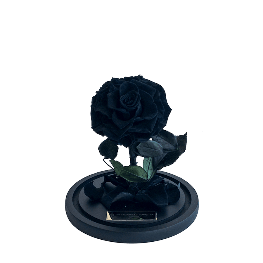 An everlasting black rose displayed on a round black base with scattered petals, symbolising eternal love, mystery, and elegance—an ideal gift for anniversaries, birthdays, or as a meaningful memorial keepsake.