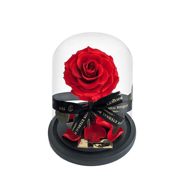 Everlasting red rose with a glass dome attached to a black base with an engraved gold plaque