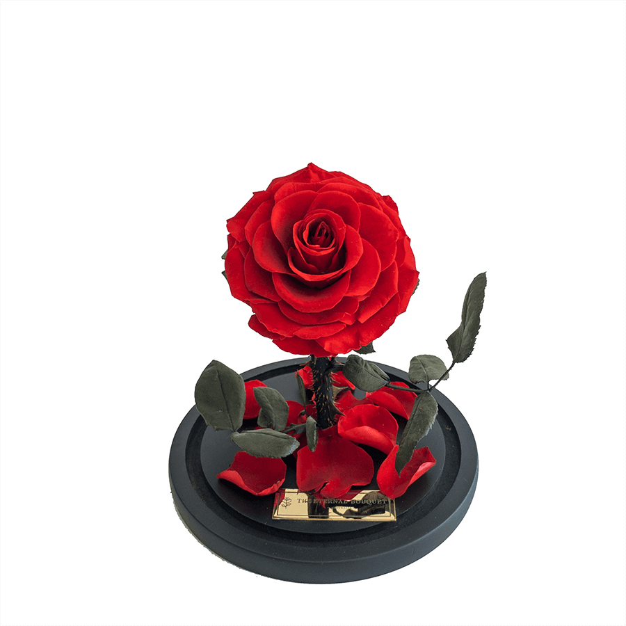 Luxury everlasting red rose elegantly displayed in a glass dome with gold-accented packaging, the perfect premium floral gift for someone special.