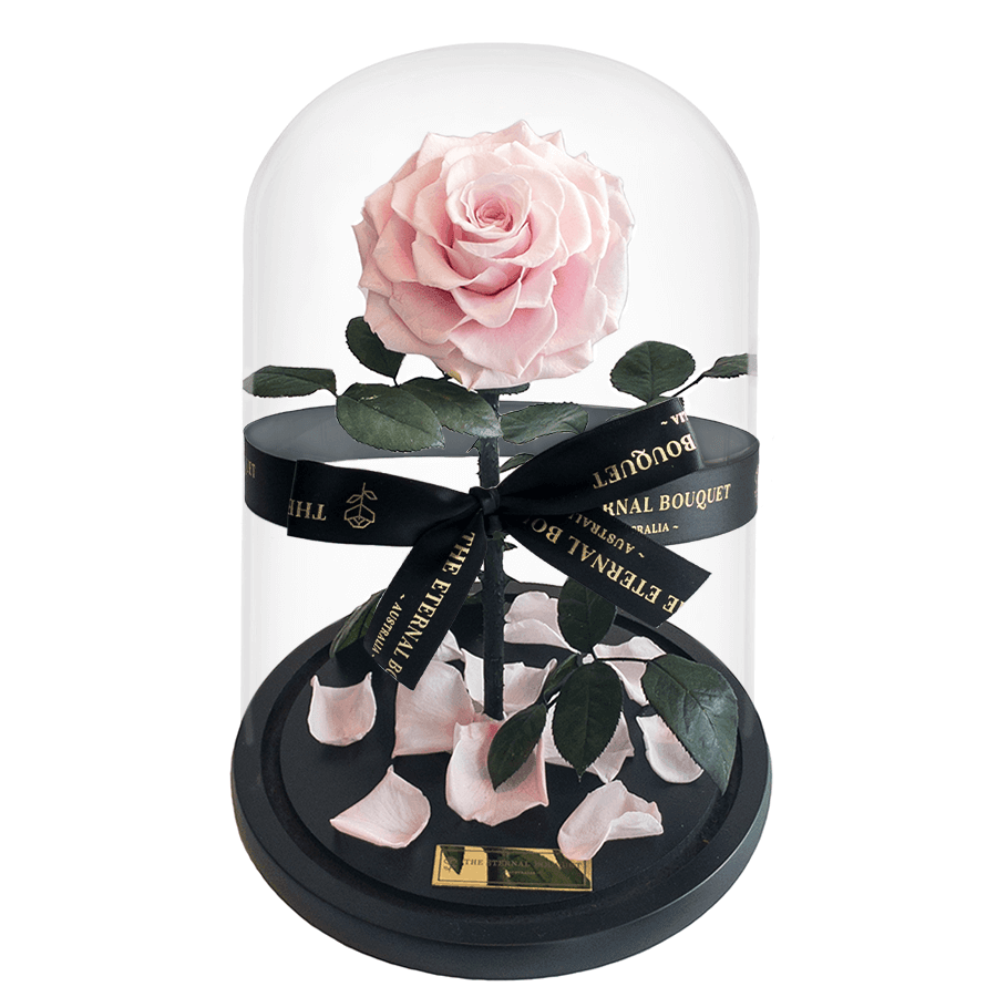 Elegant everlasting pink rose encased in a glass dome with scattered petals and lush green leaves, tied with a luxurious black ribbon branded with 'The Eternal Bouquet.' A timeless and romantic gift, perfect for anniversaries, birthdays, or showing someone how much they mean to you.