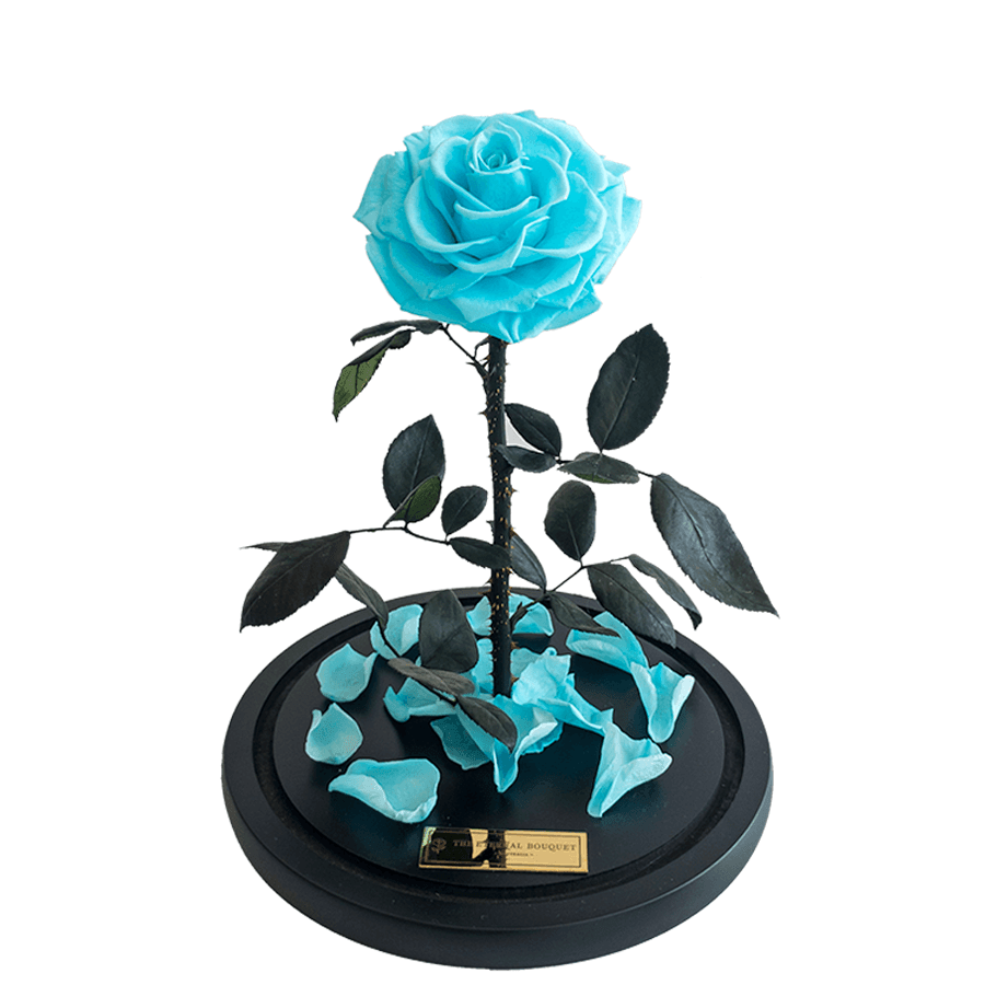 Large Tiffany Blue Enchanted Rose