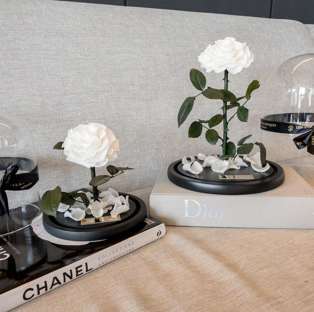 Large and mini white everlasting roses