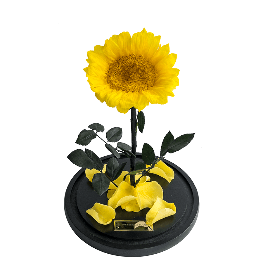 A vibrant, preserved sunflower stands tall on a round black base, surrounded by soft yellow petals and dark green foliage, with a gold plaque engraved with "The Eternal Bouquet" at the front. The bloom’s lifelike texture and cheerful color make it a stunning long-lasting alternative to fresh flowers. Perfect as a thoughtful gift for birthdays, celebrations, or simply to bring warmth and positivity into any room, this sunflower display is a joyful reminder of sunny days and happy memories.