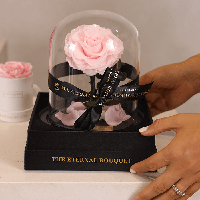 Hands gently presenting a luxurious everlasting pink rose from The Eternal Bouquet, elegantly encased in a glass dome with a black ribbon and gift box. A timeless and romantic gift, perfect for celebrating love, anniversaries, or special milestones.