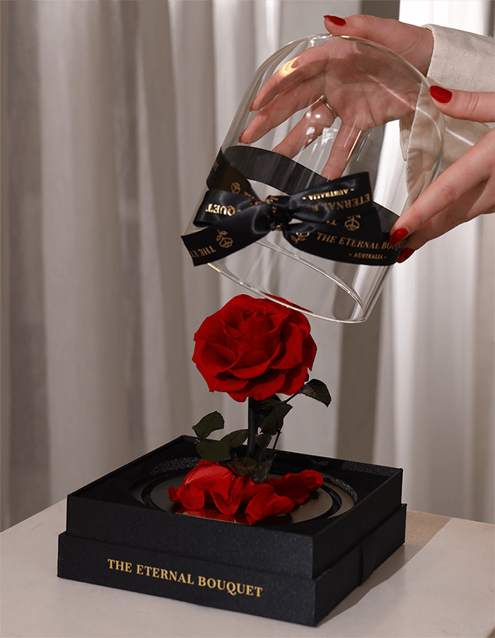 A close-up of a hand gently lifting the glass dome off a beautiful everlasting red rose, set on a sleek black base adorned with scattered petals and elegant gold branding that reads 