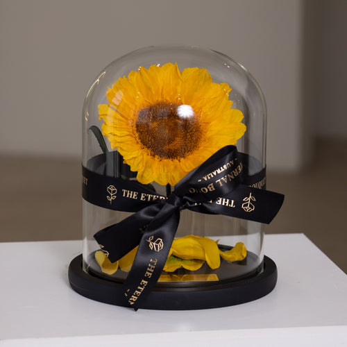 Mini Eternal Sunflower