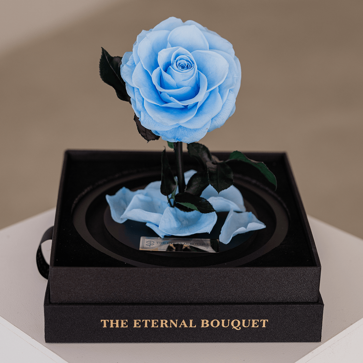 The Enchanted Mini - Baby Blue