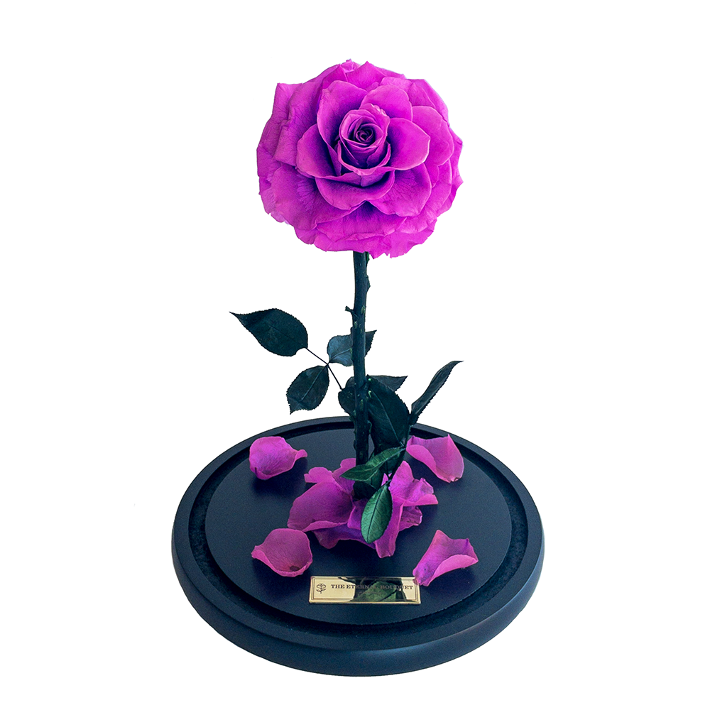 The Enchanted Rose - Berry