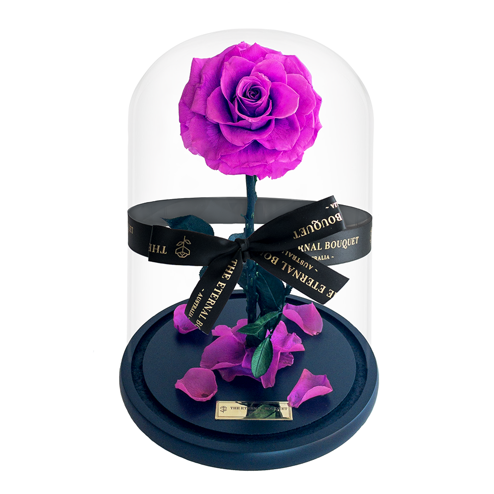 The Enchanted Rose - Berry