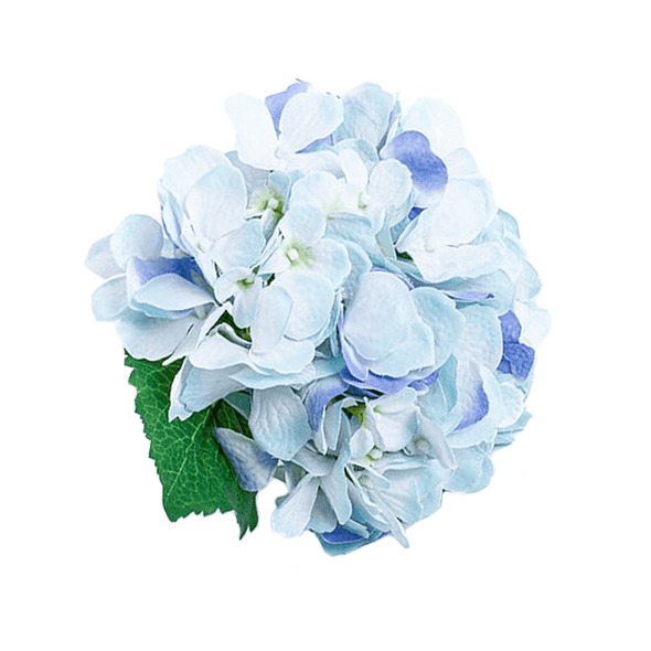 Extra Scented Silk Hydrangeas