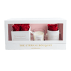 Red Everlasting Rose Set with Scented Candle (front view)