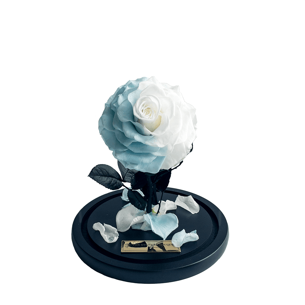 Everlasting Mini Blue and White Blended Rose in Glass Dome (without lid)
