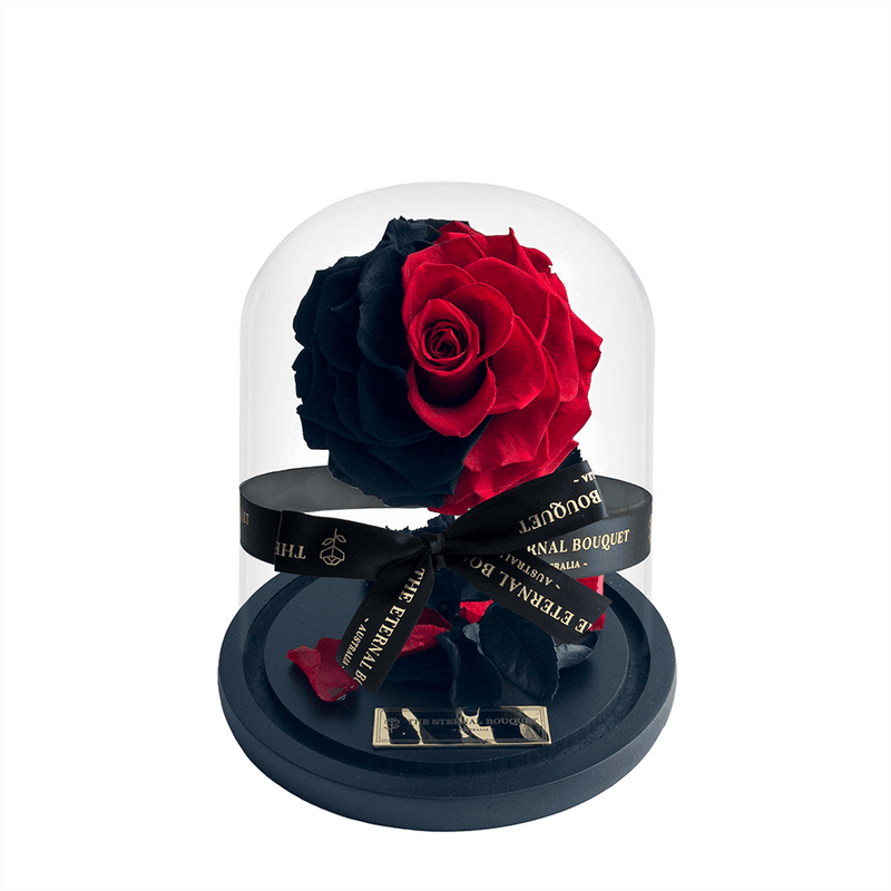 Everlasting Mini Red and Black Blend Rose in Glass Dome