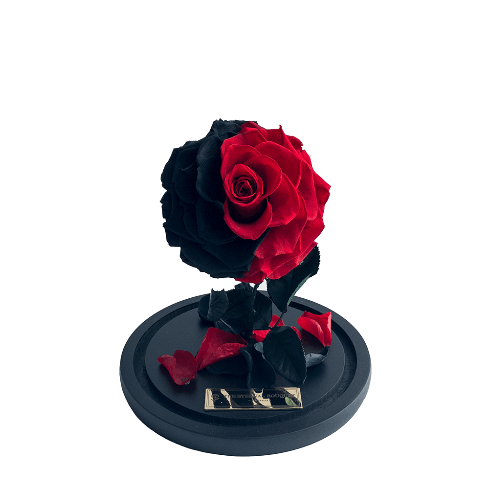 Everlasting Mini Red and Black Blend Rose in Glass Dome (without lid)