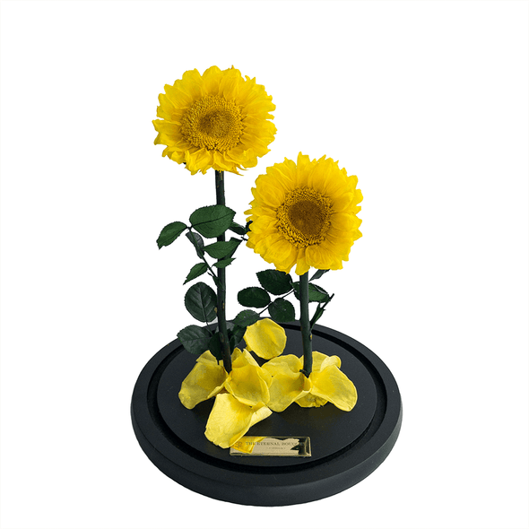Forever Sunflower dome with 2 Everlasting Sunflowers