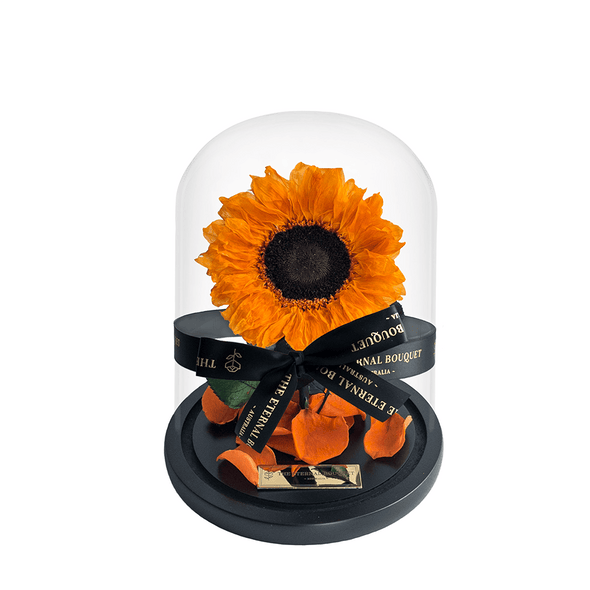 Forever Mini Orange Sunflower in a glass dome