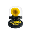 A stunning everlasting sunflower encased in a sleek glass dome, tied with an elegant black ribbon featuring 'The Eternal Bouquet' in gold lettering. Resting on a sophisticated black base, this timeless arrangement captures the warmth and joy of sunflowers, symbolizing happiness and positivity. A perfect gift for brightening someone’s day, celebrating special moments, or adding a cheerful touch to any space. 