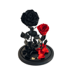 Black and Red Eternity Rose