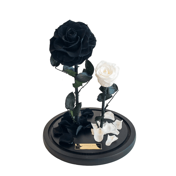 Black and White Eternity Rose
