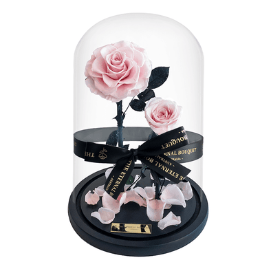2 Everlasting pink roses in a glass dome 