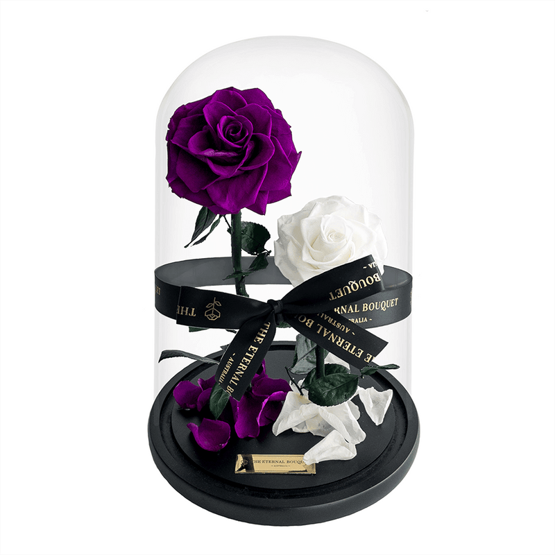 2 Everlasting Purple and White roses in a glass dome 