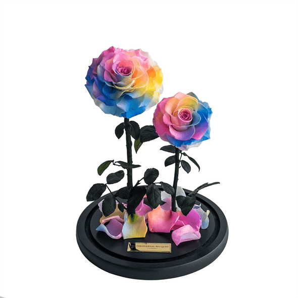 2 Enchanted Everlasting Rainbow Roses in a glass dome without a glass lid