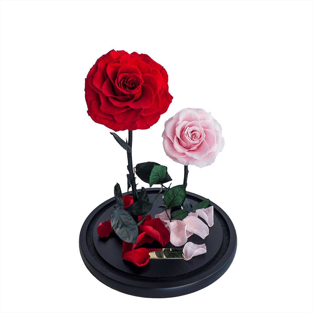 2 Enchanted Everlasting Red and pink roses in a glass dome with a glass lid