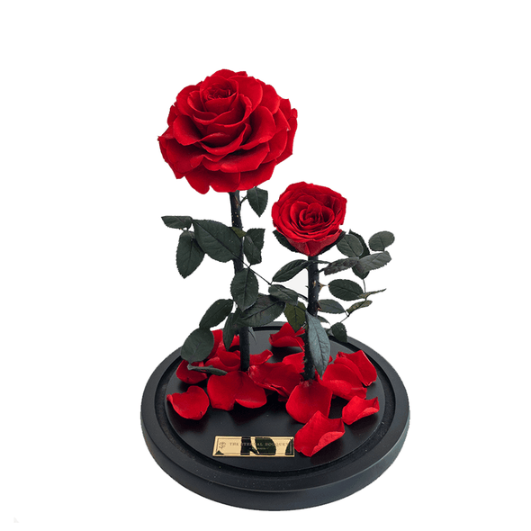2 Enchanted Everlasting Red Roses in a glass dome without a glass lid