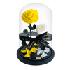 Yellow and White Everlasting Rose in a Glass Dome 