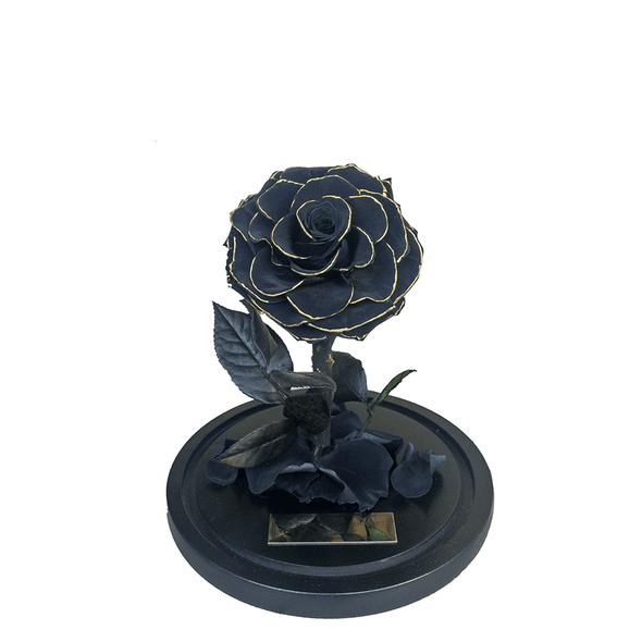 black everlasting rose with gold trim