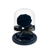 Mini Black Everlasting Rose in a glass dome