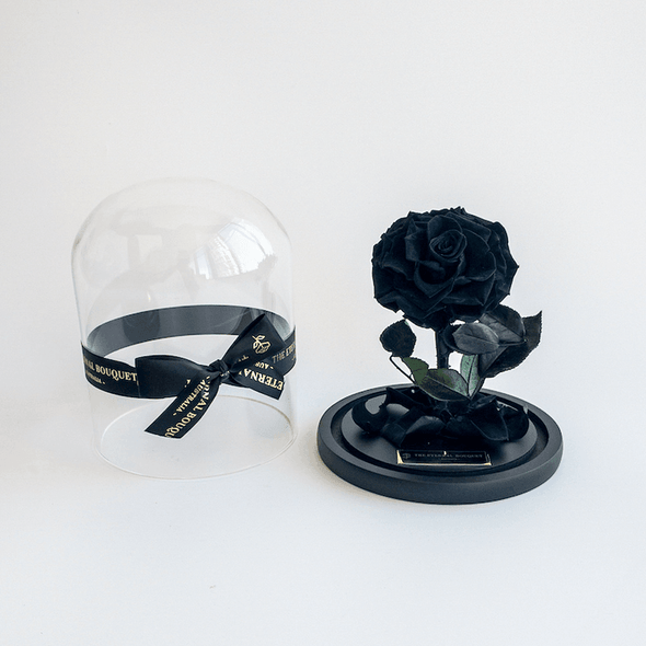 Black everlasting rose with a glass dome
