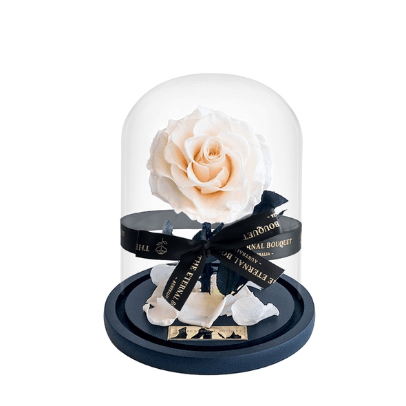 Cream coloured everlasting rose in a glass dome
