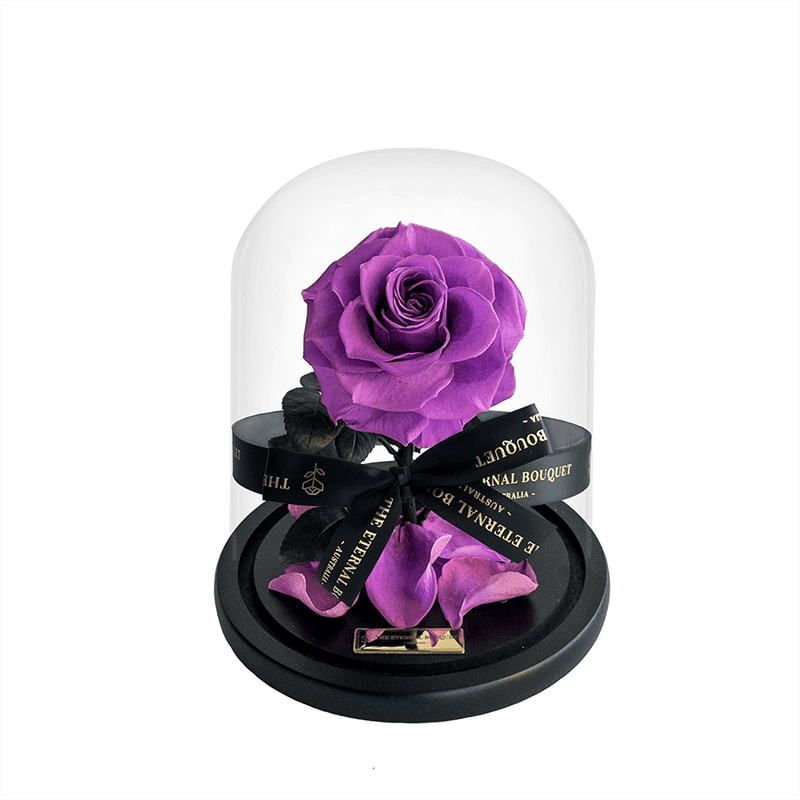 Light purple everlasting rose in a glass dome