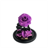 Mini lavender everlasting rose